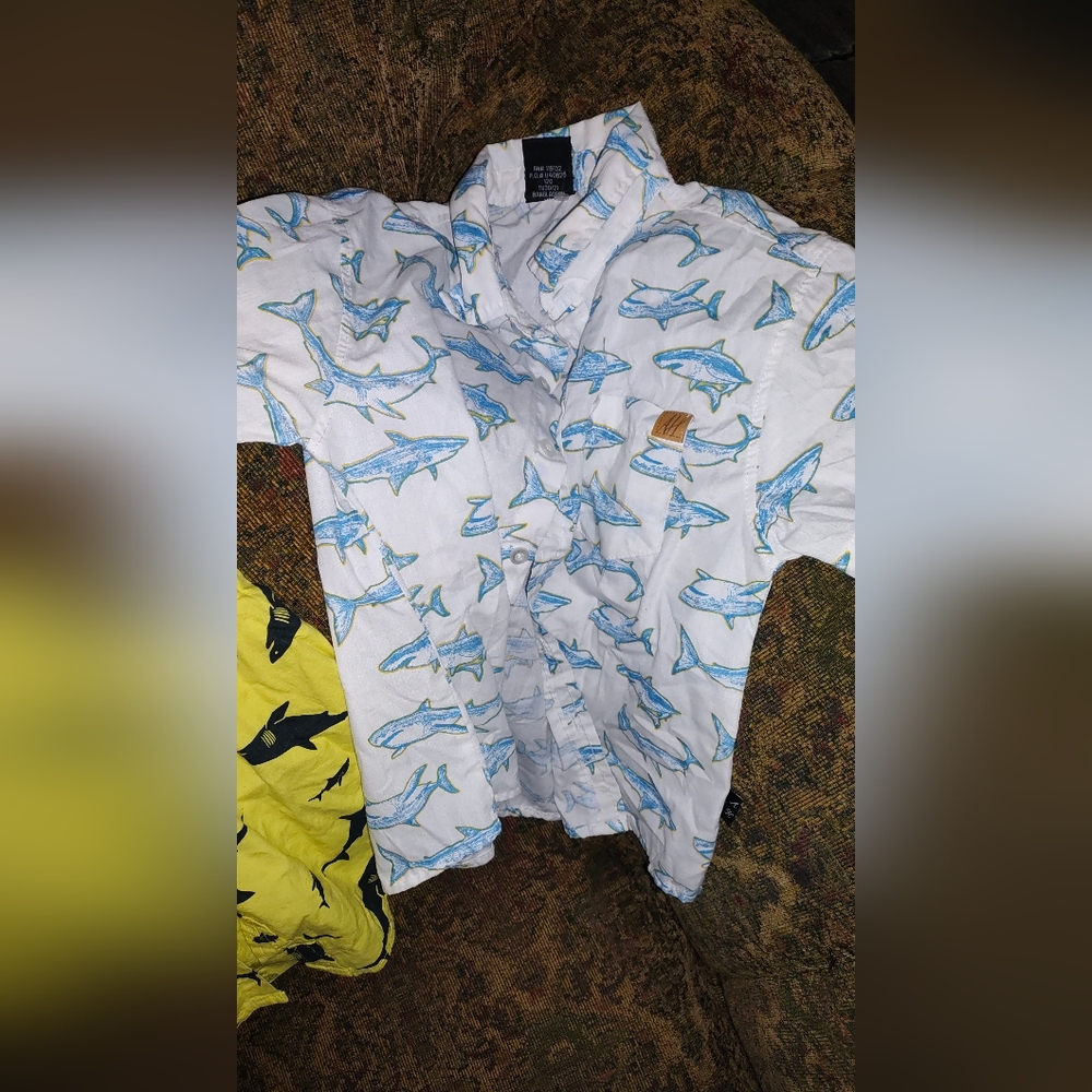 Shark shirt